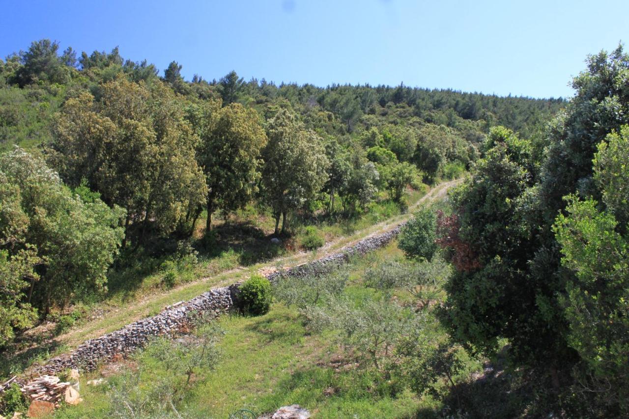 Seaside Secluded Apartments Cove Karkavac - Scedro, Hvar - 8801 Jelsa  Ngoại thất bức ảnh